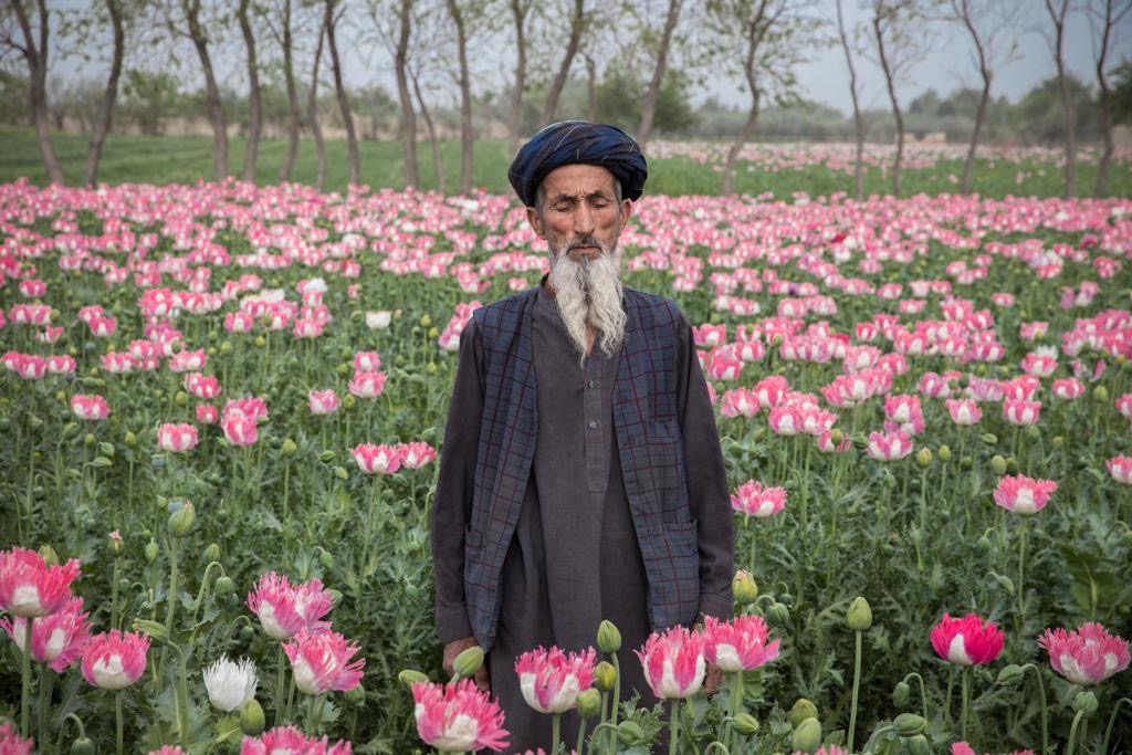 The way of Beauty of Oriane Zerah in Afghanistan